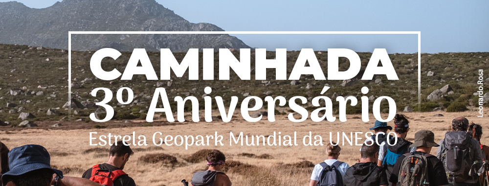 Caminhada aniversário banner.png